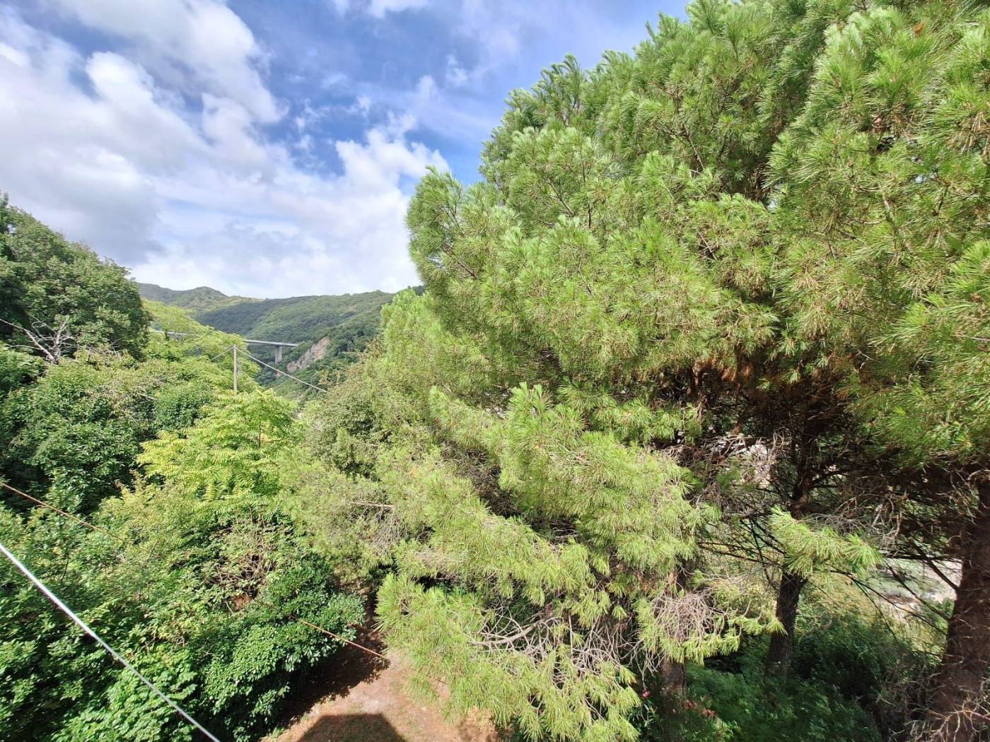 Terreno