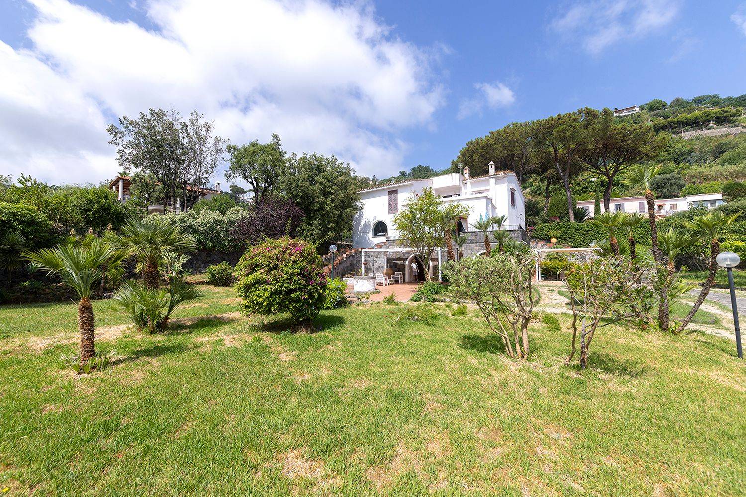 Giardino