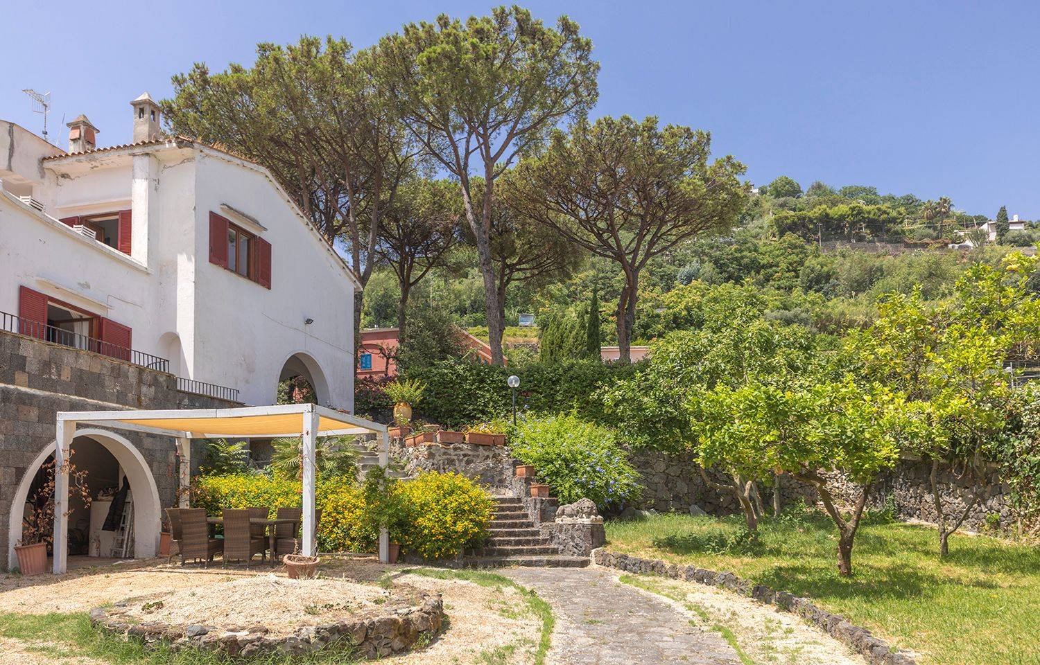 Giardino