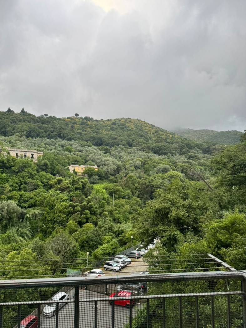 Vista