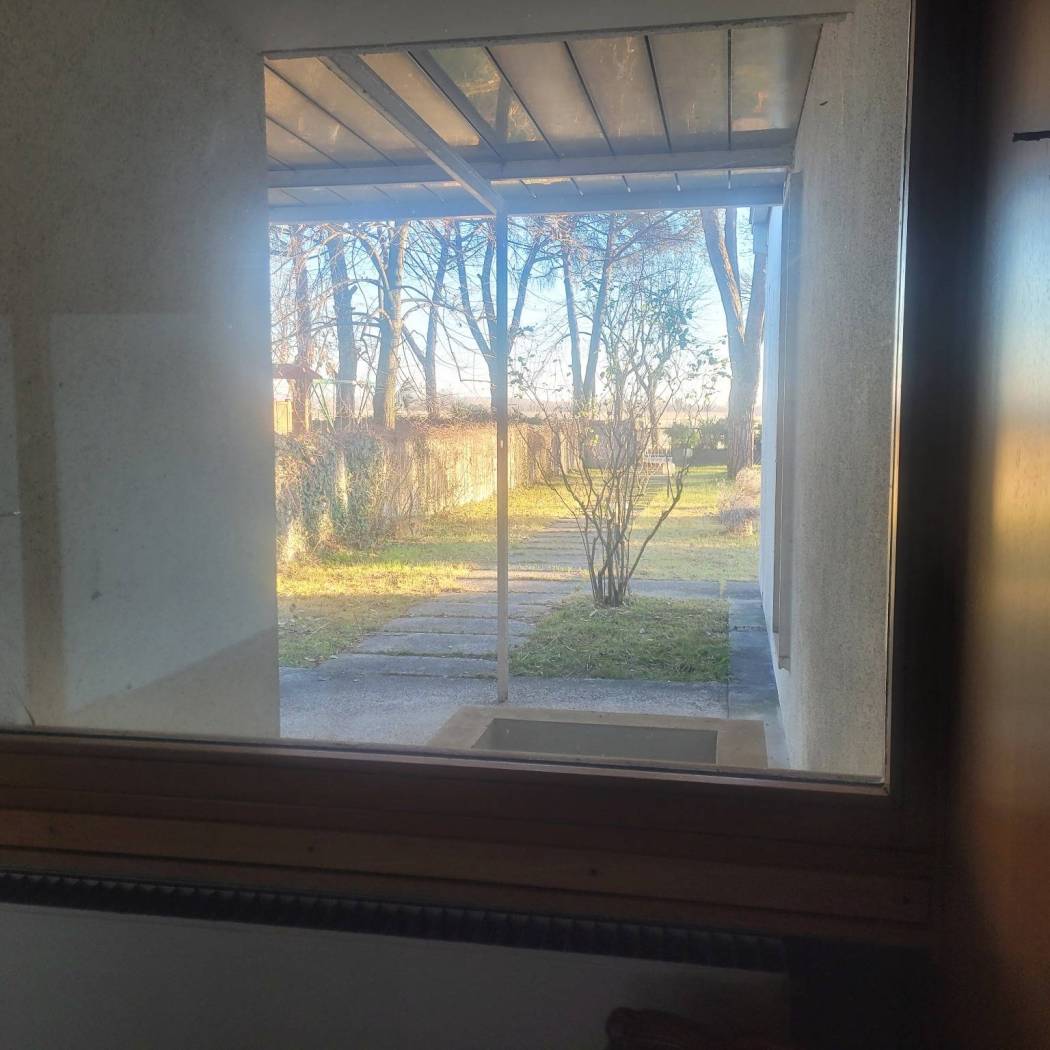 Vista
