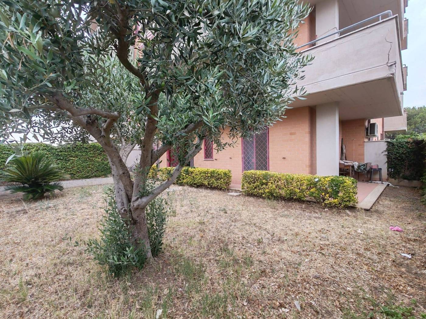 Giardino