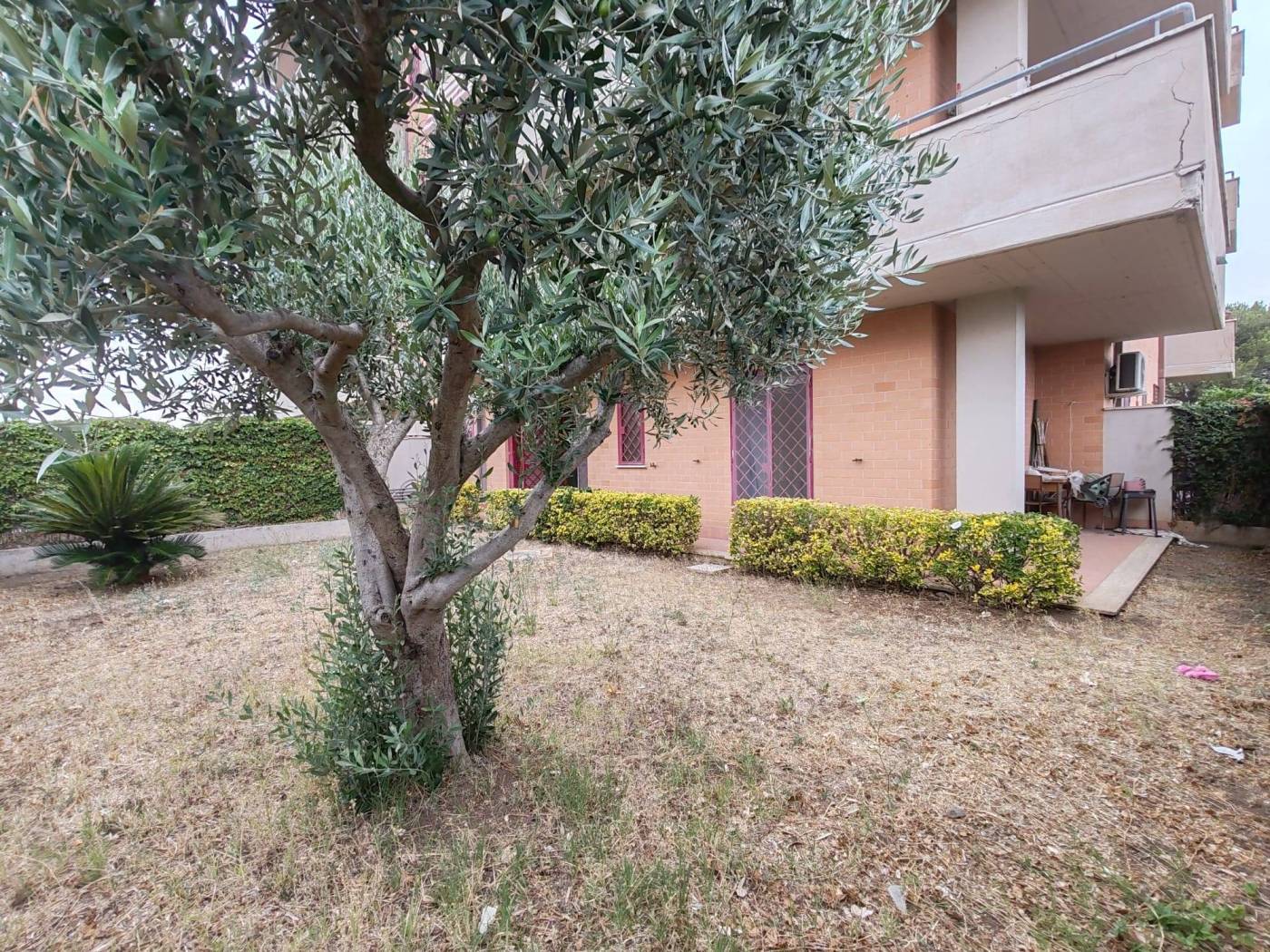 Giardino