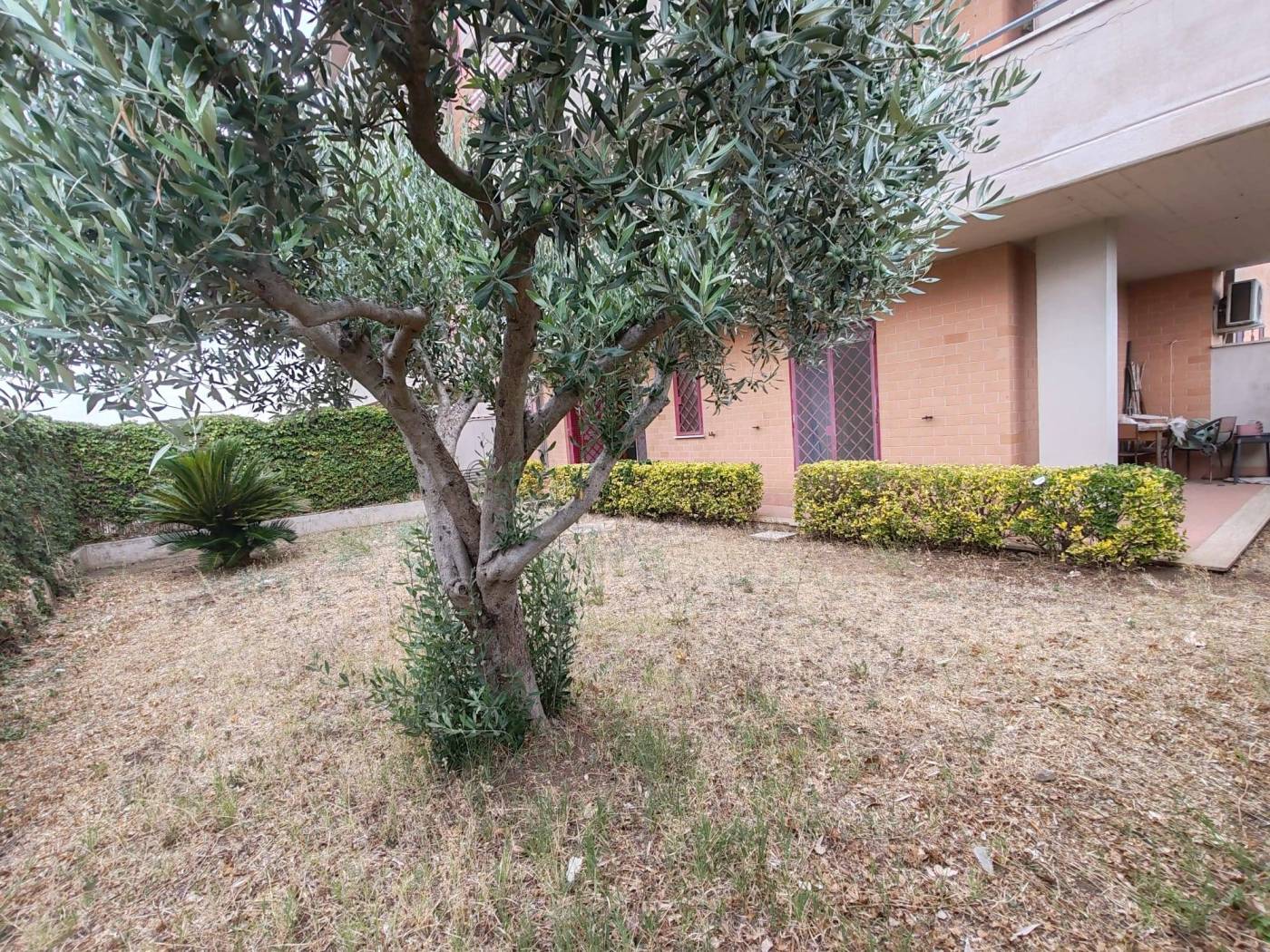 Giardino