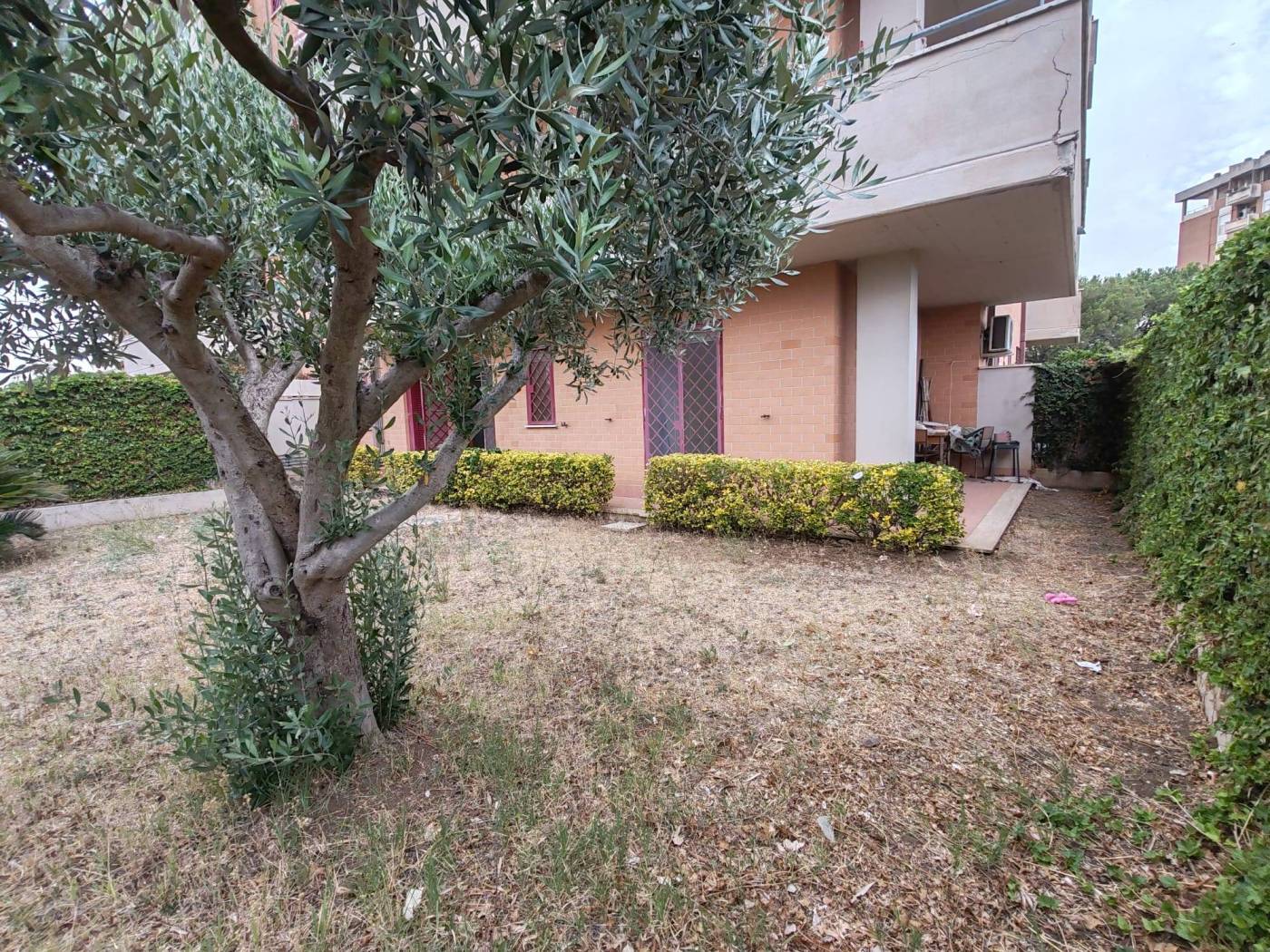 Giardino
