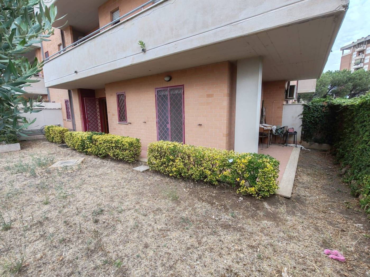 Giardino
