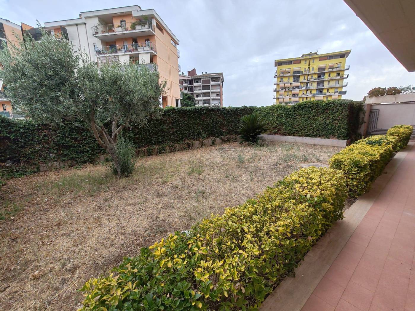 Giardino