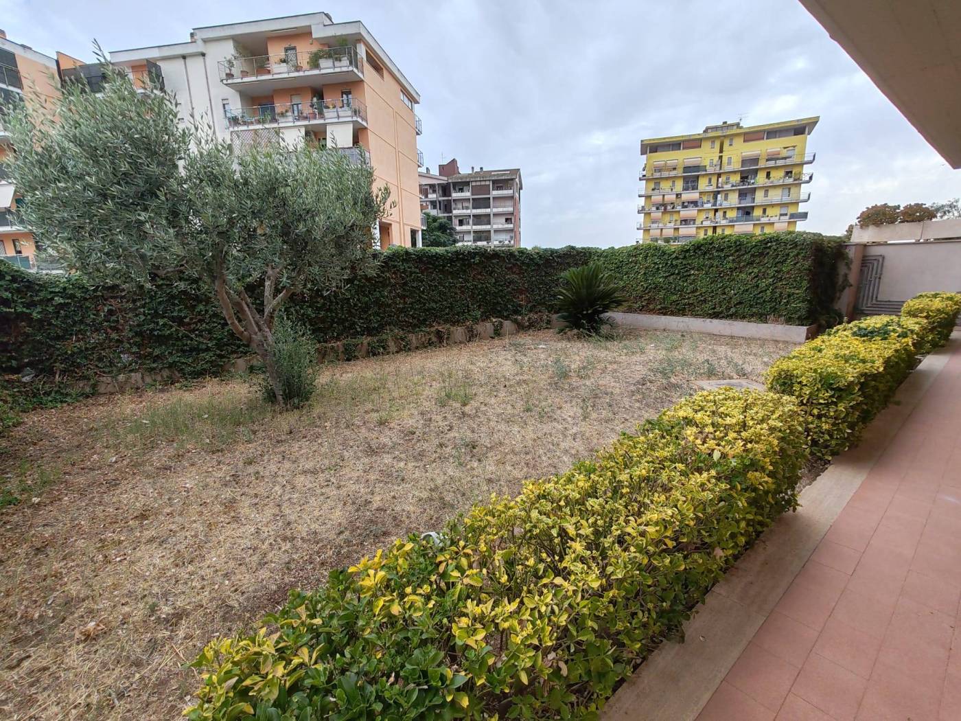 Giardino