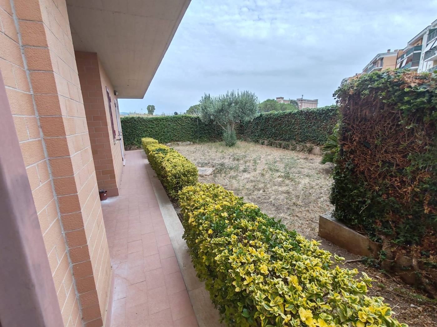 Giardino
