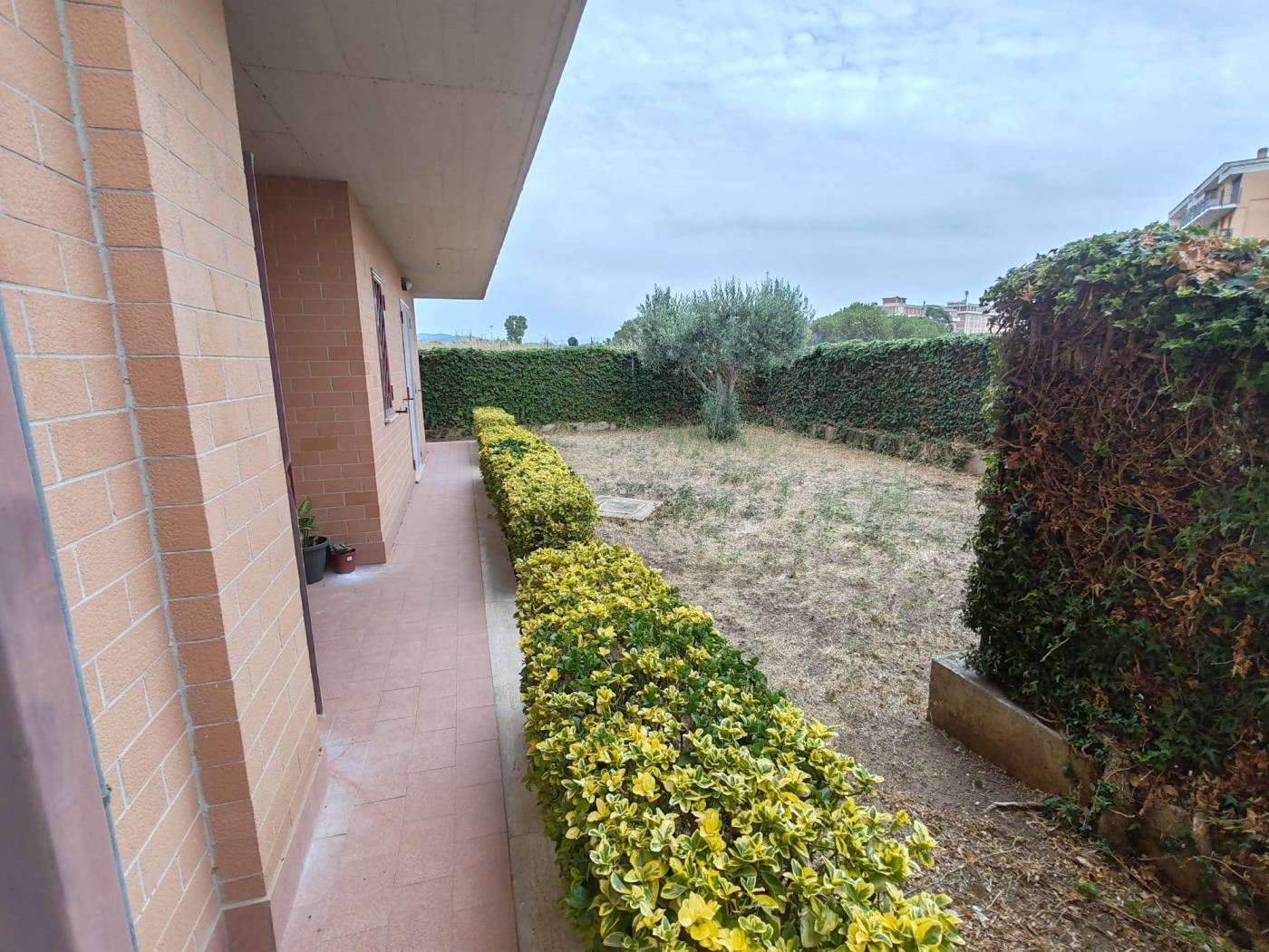 Giardino