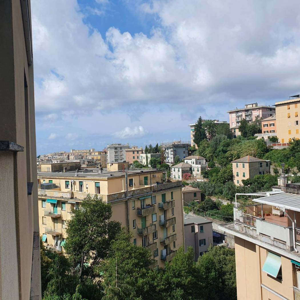 Vista