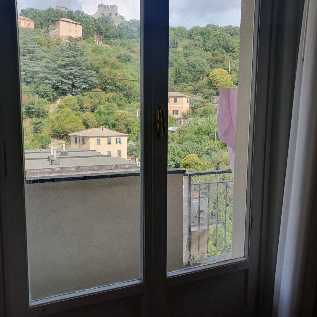 Vista
