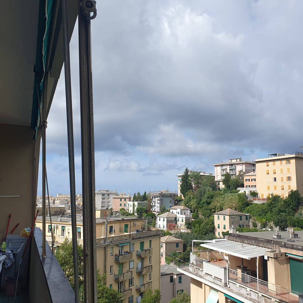 Vista