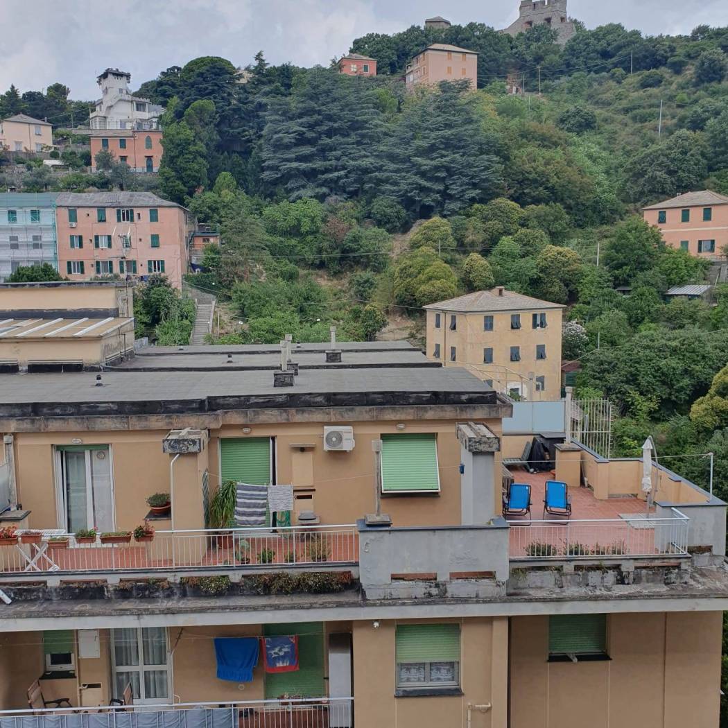 Vista