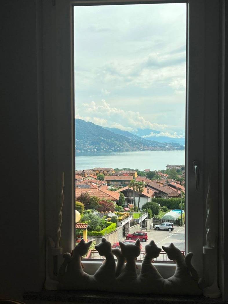 Vista
