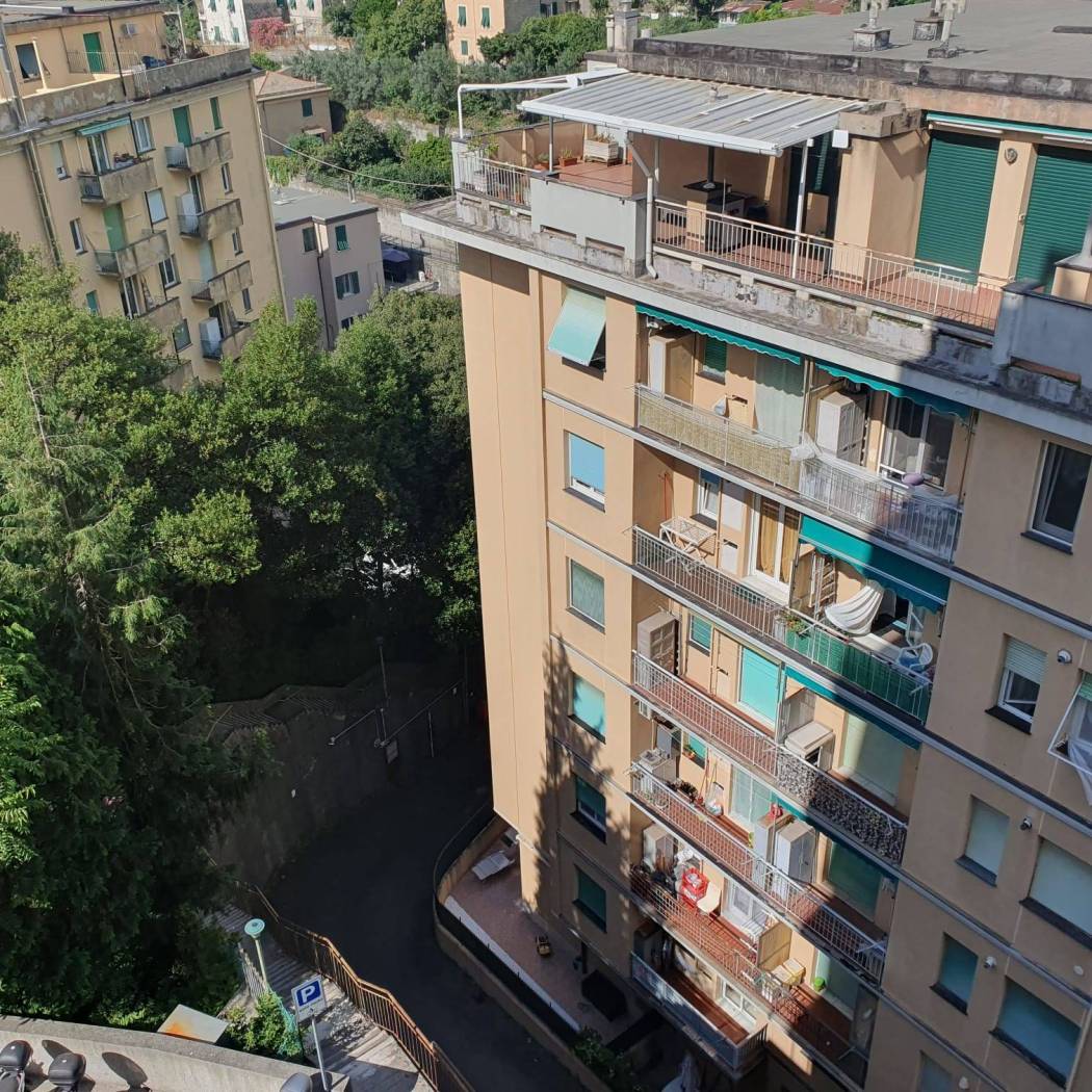 Vista