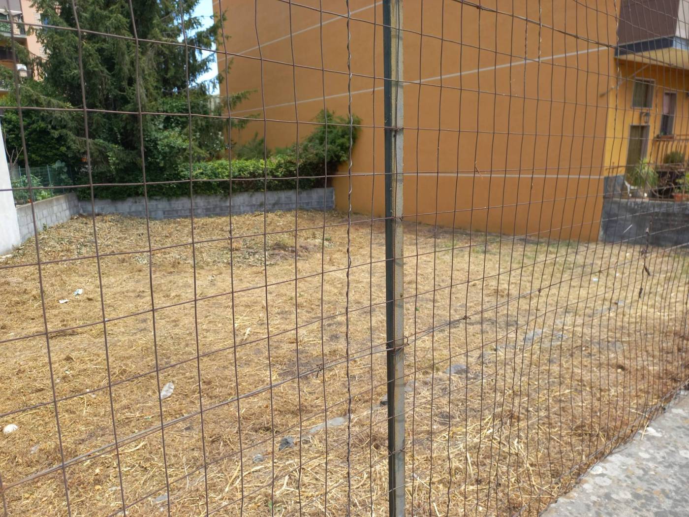 Terreno Terreno