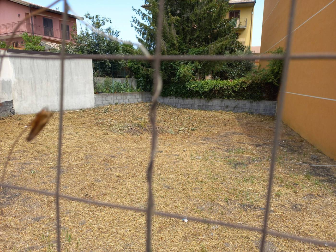 Giardino Giardino