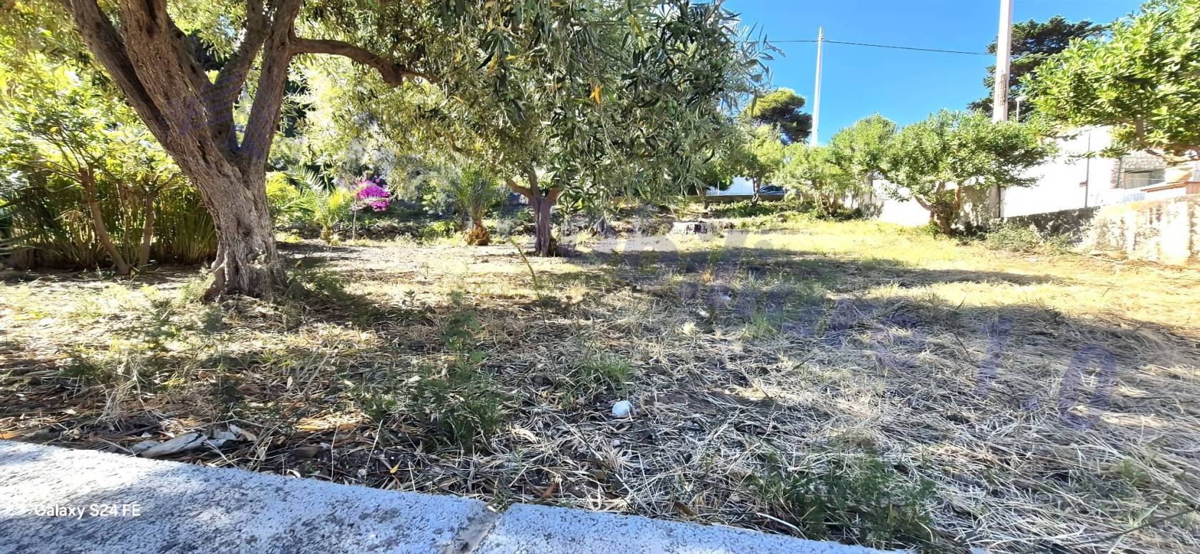 Terreno