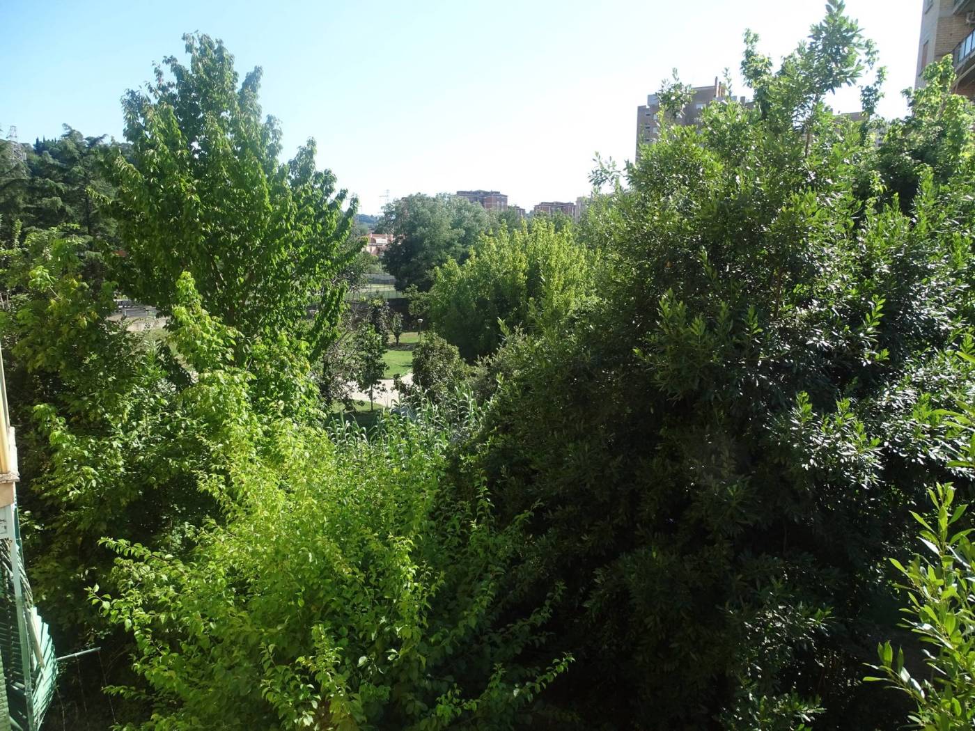 Vista