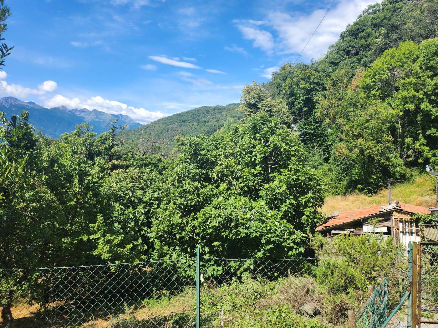 Terreno