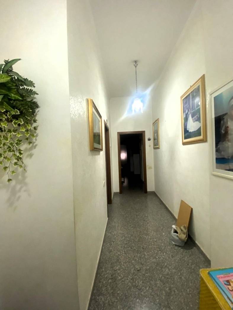 Ingresso
