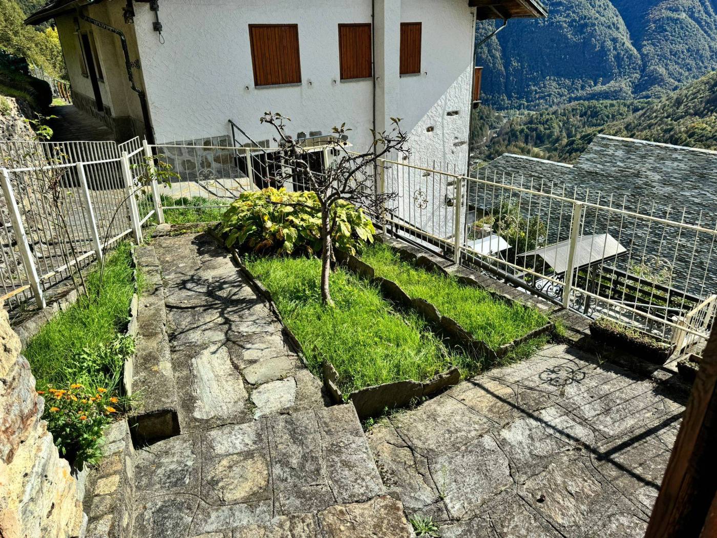Giardino
