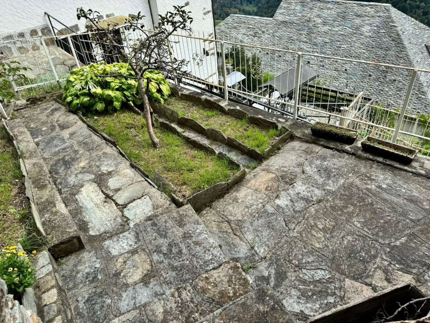 Giardino