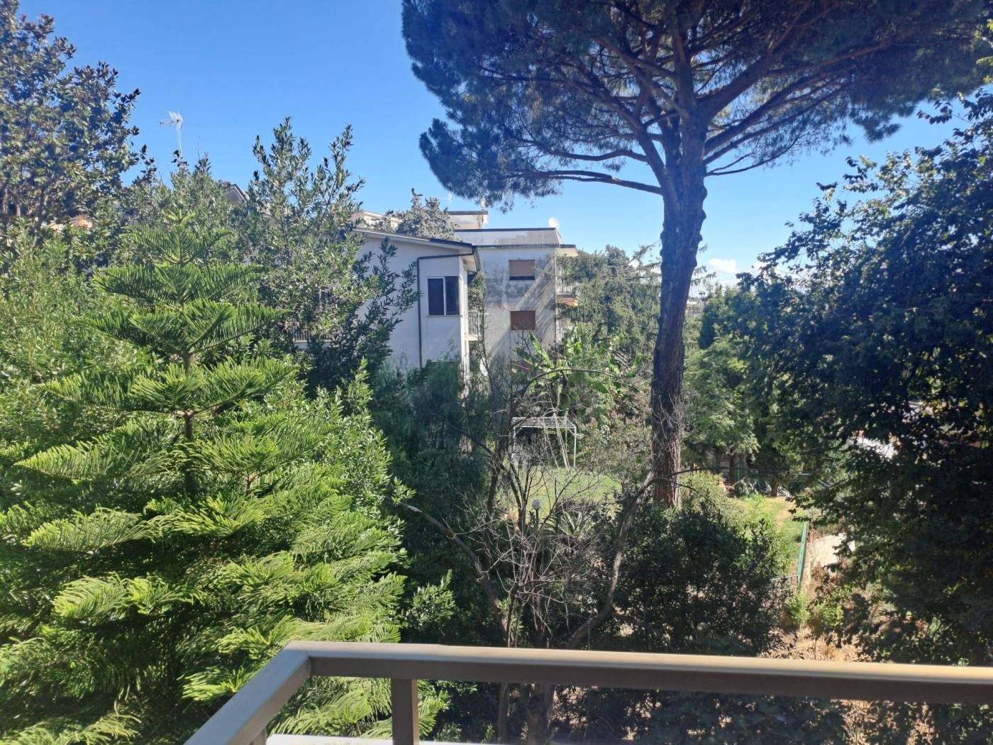 Vista