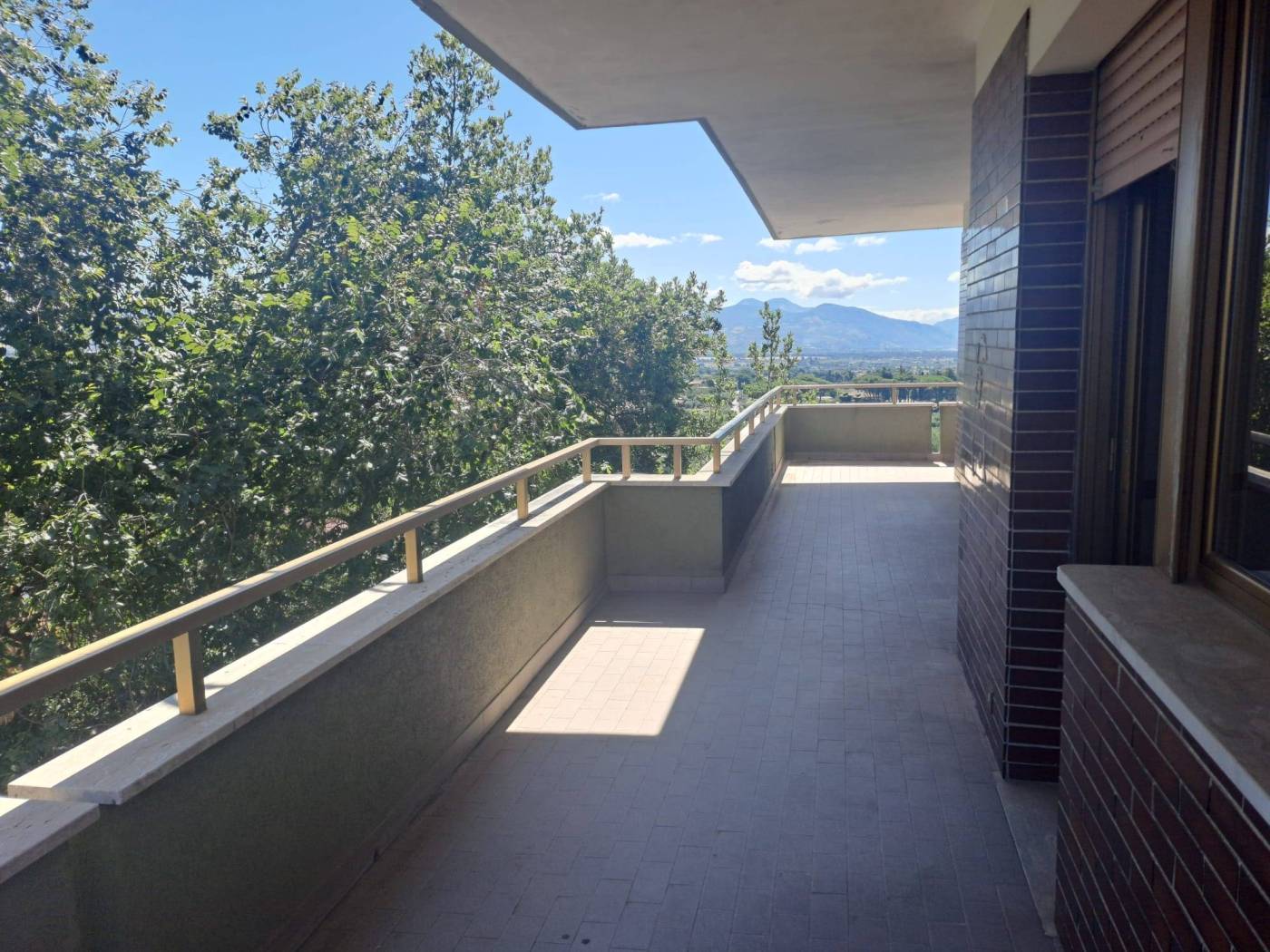 Terrazzo