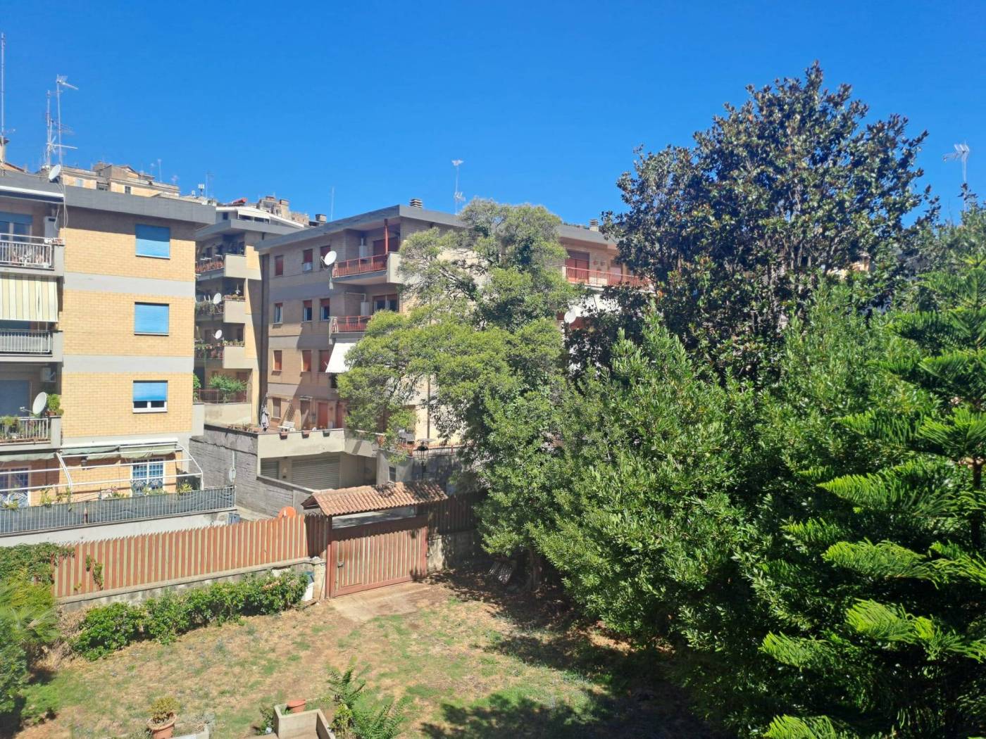 Vista