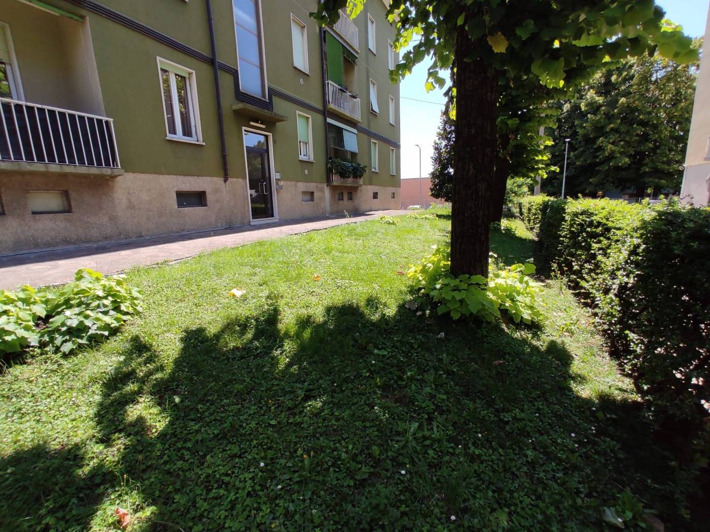 Giardino