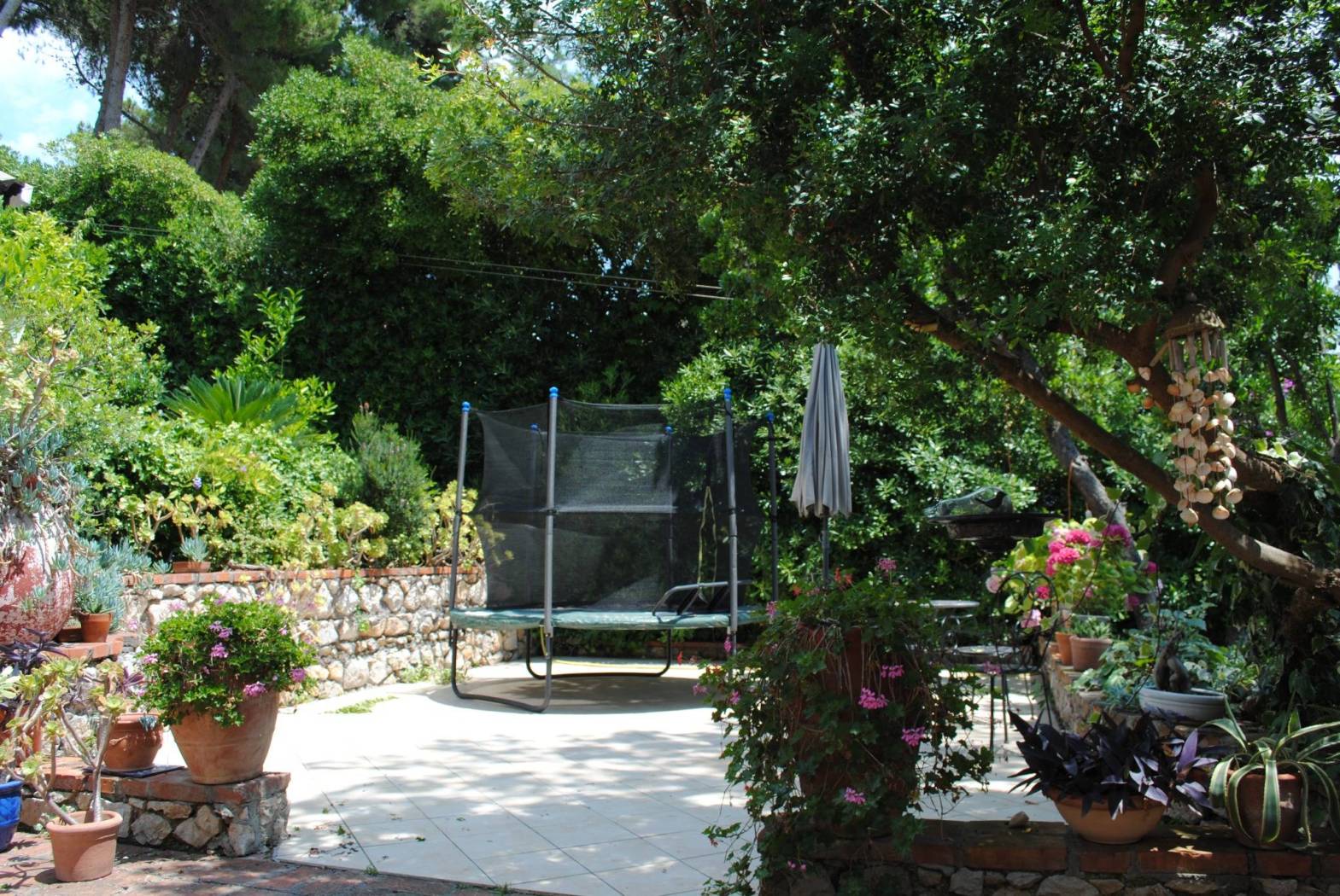 Giardino