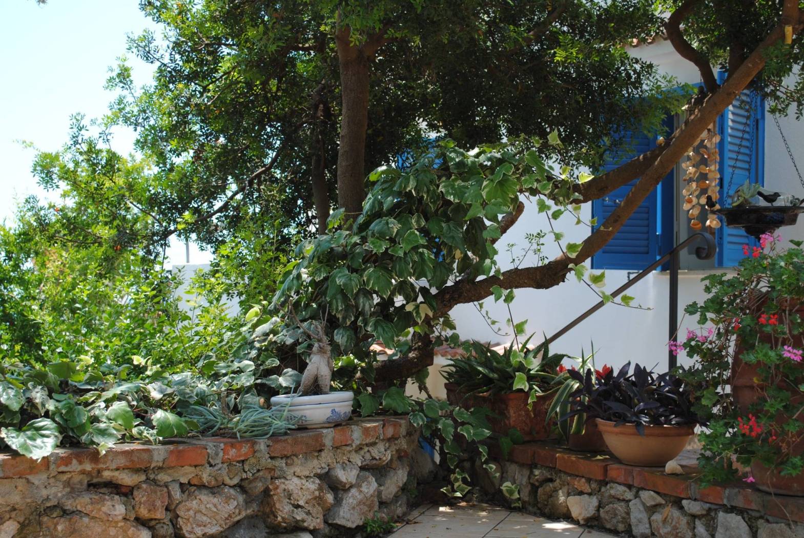 Giardino