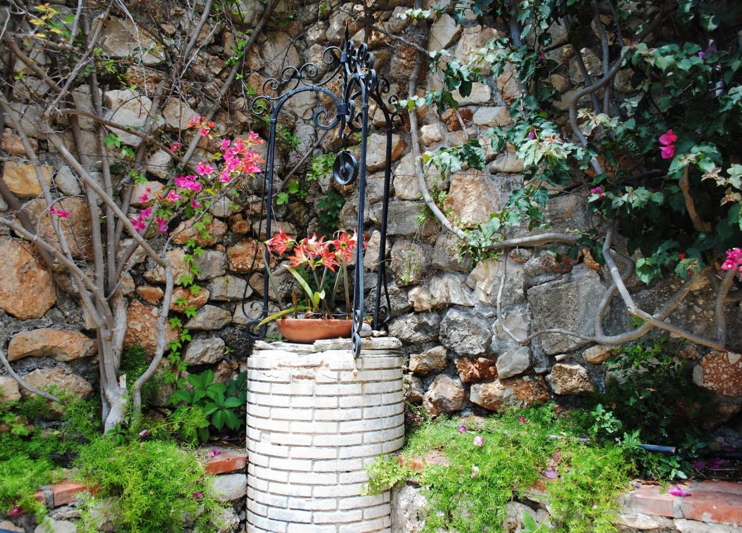 Giardino