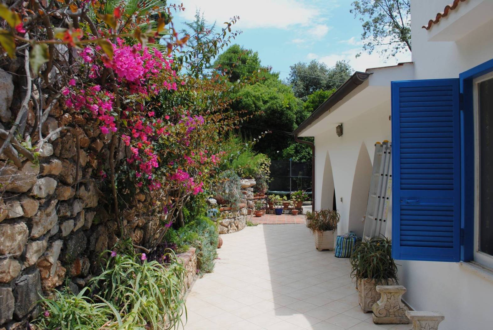 Giardino