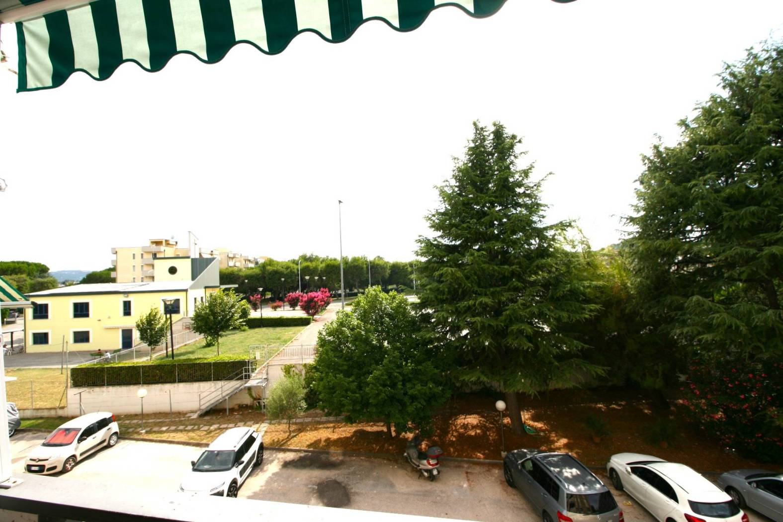 Vista