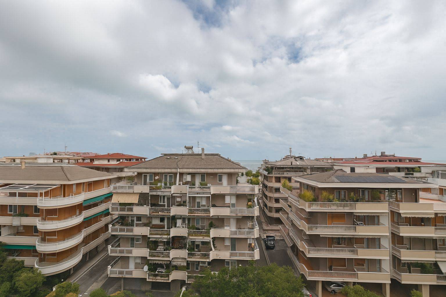 Vista