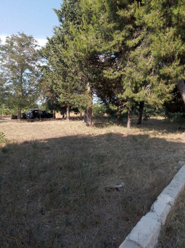 Terreno