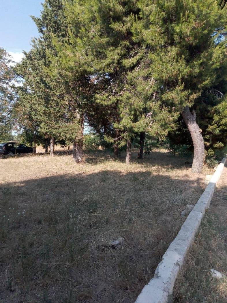 Terreno