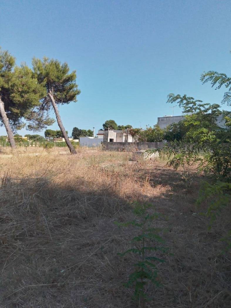 Terreno
