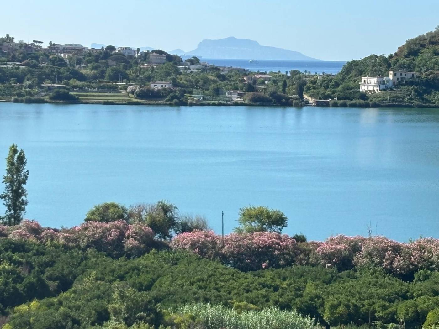 Vista