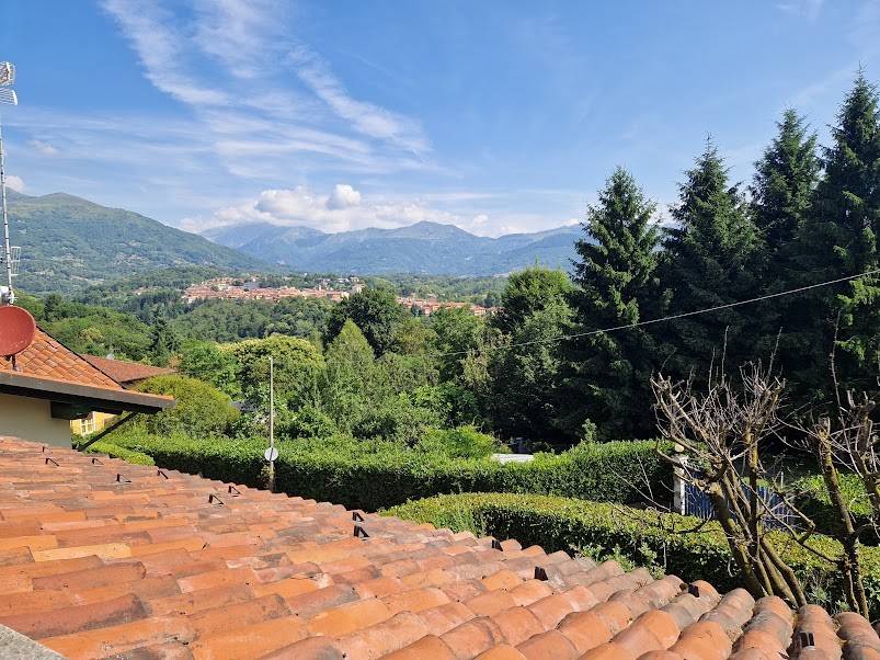 Vista