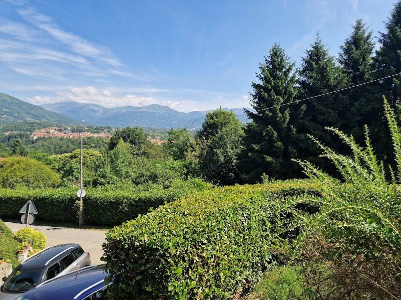 Vista
