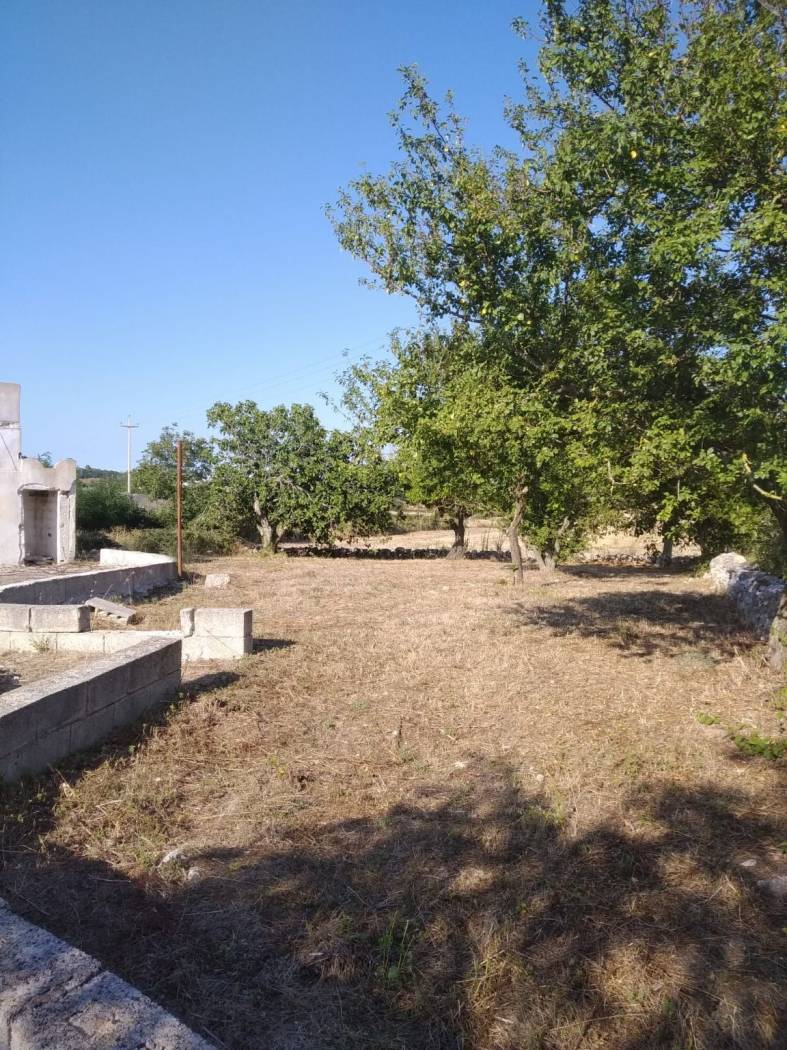 Terreno