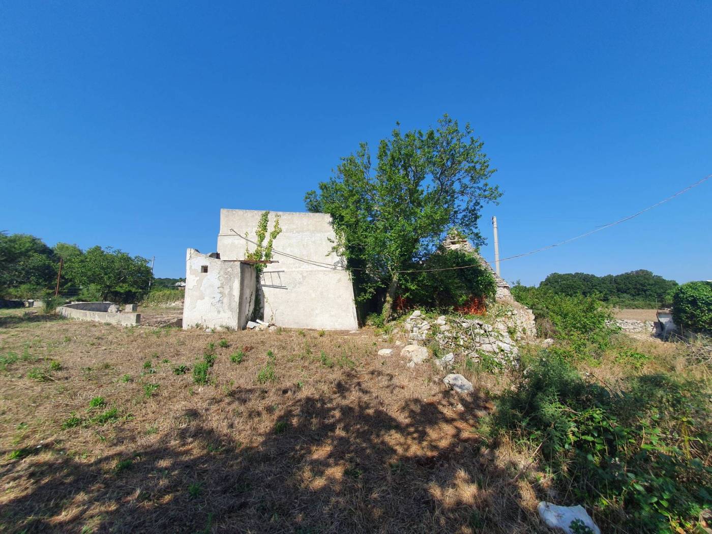 Terreno