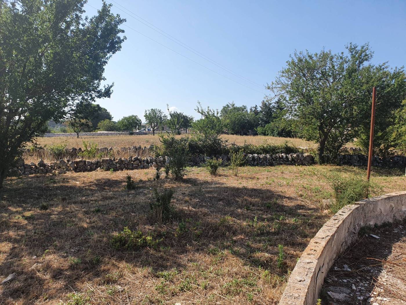 Terreno