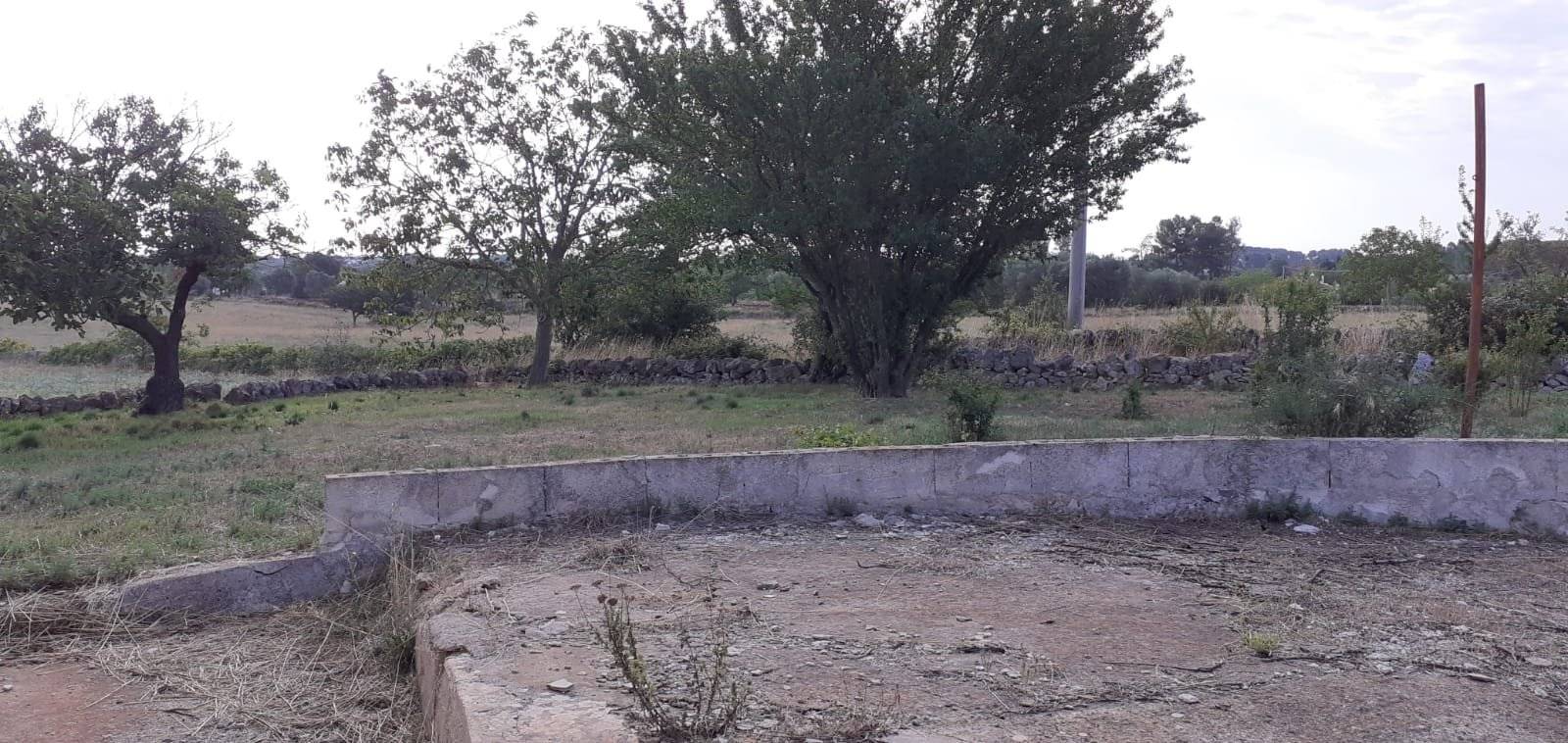 Terreno