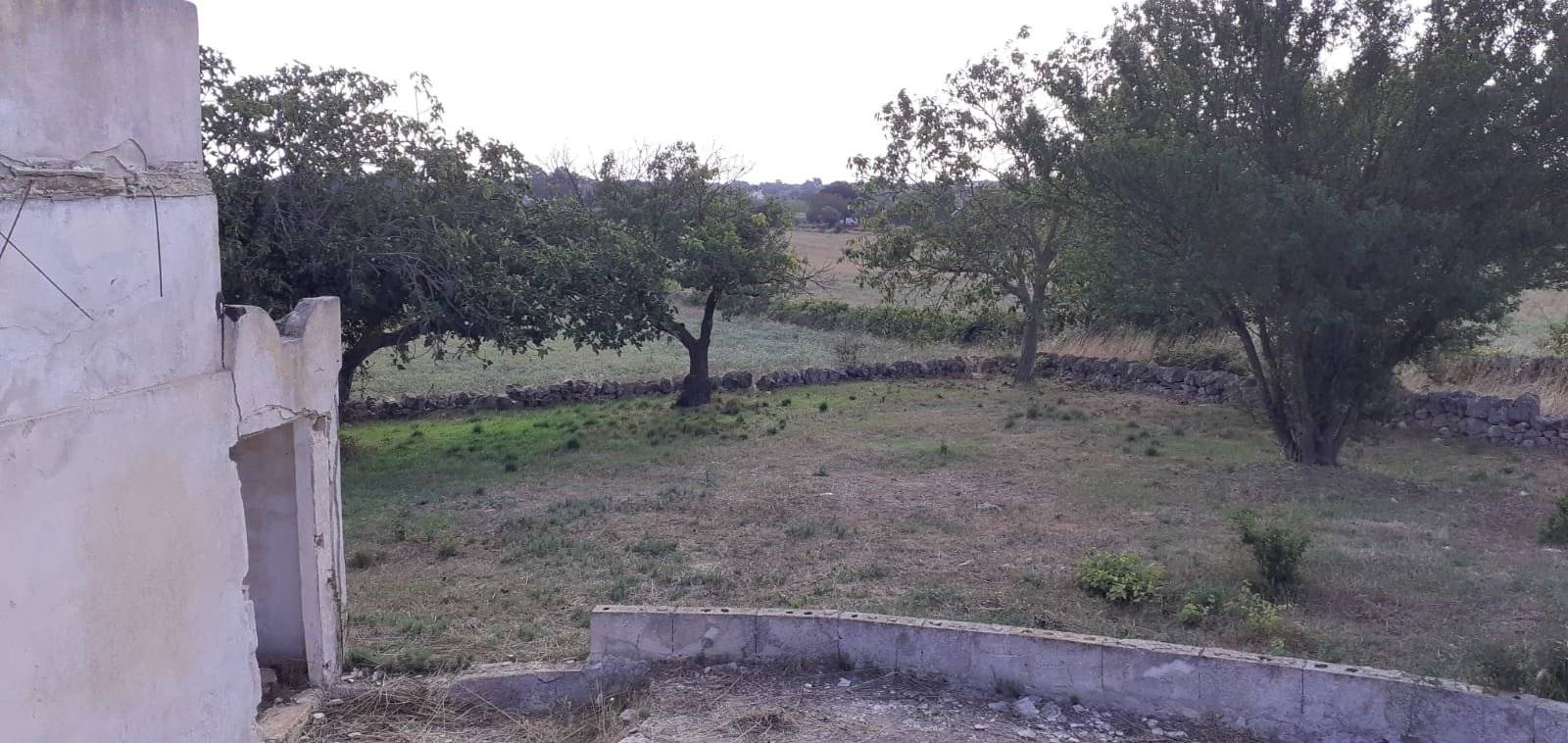 Terreno