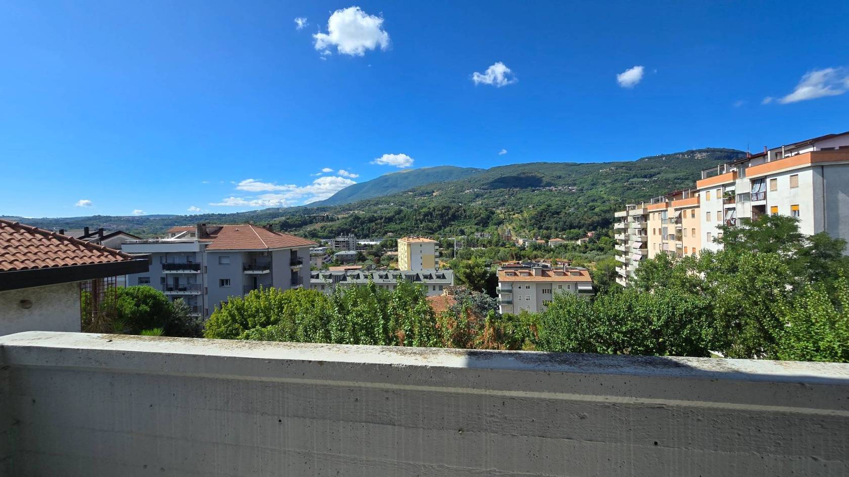 Vista